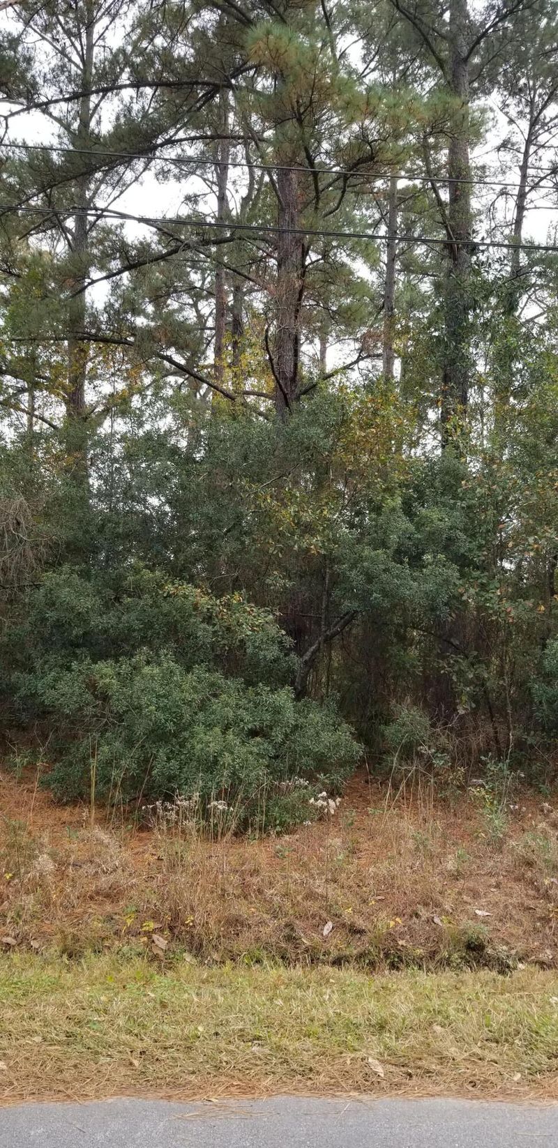 0 Rearden Ave, Walterboro, SC 29488