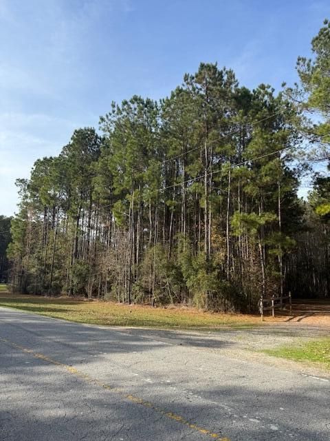 00 Myers Mayo Rd Lot 2, Ridgeville, SC 29472