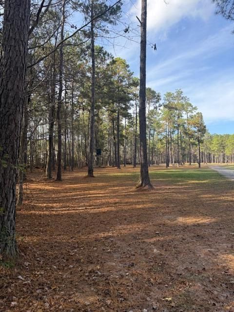 00 Myers Mayo Rd Lot 2, Ridgeville, SC 29472
