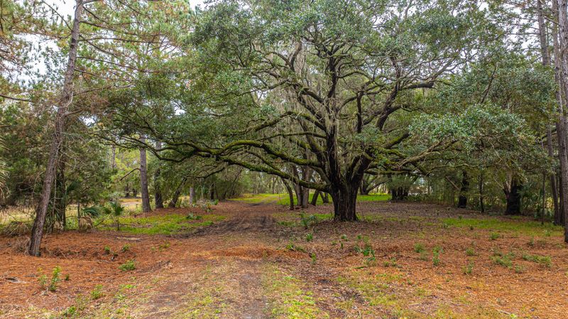 8737 Peters Point Rd, Edisto Island, SC 29438