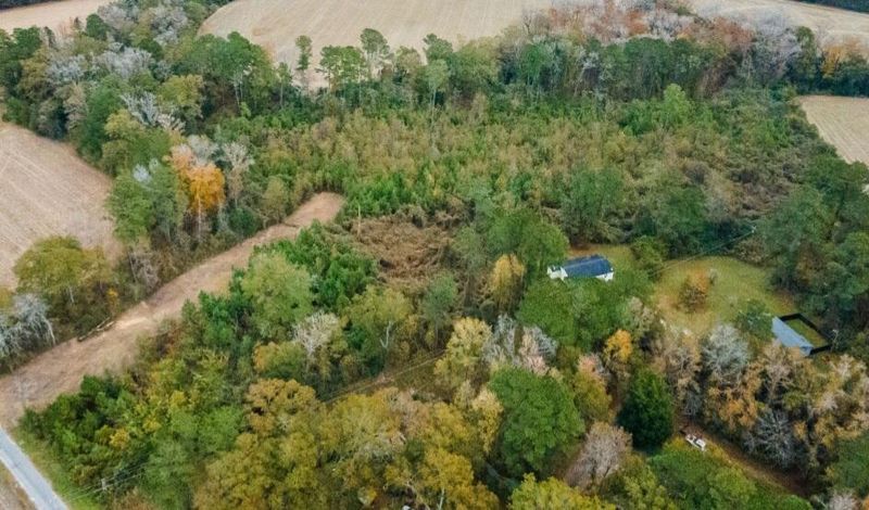 0 White Oak Ln, Harleyville, SC 29448