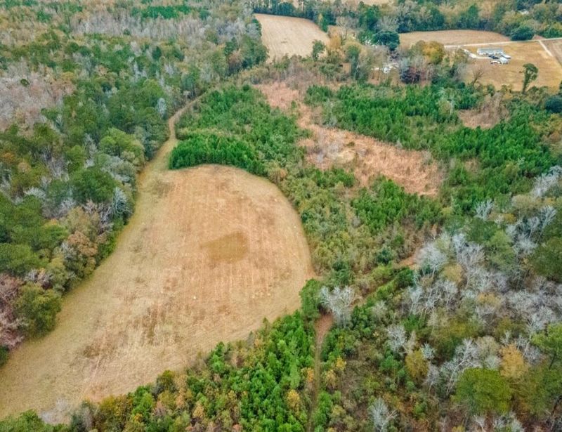 0 White Oak Ln, Harleyville, SC 29448