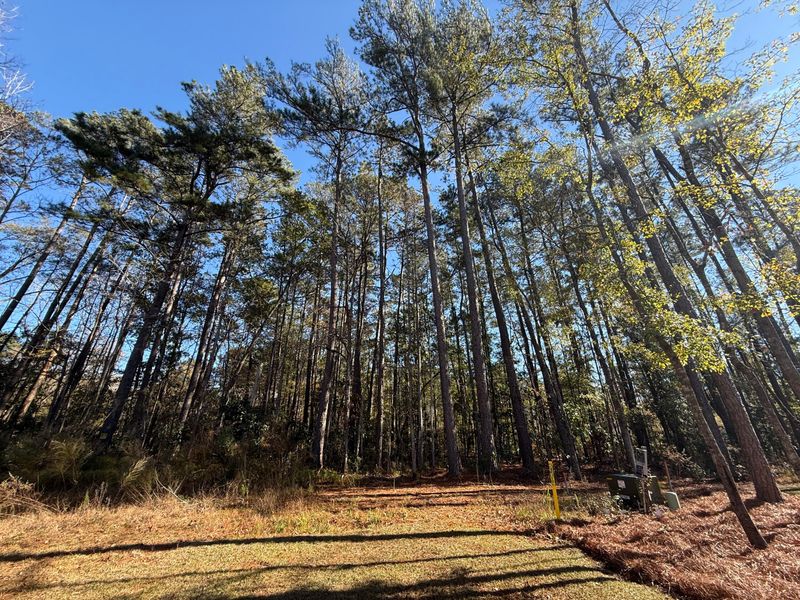 0 Almond Ct, Summerville, SC 29483