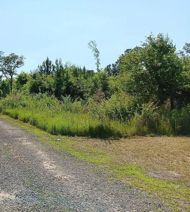 00 Primus Dr, Saint George, SC 29477