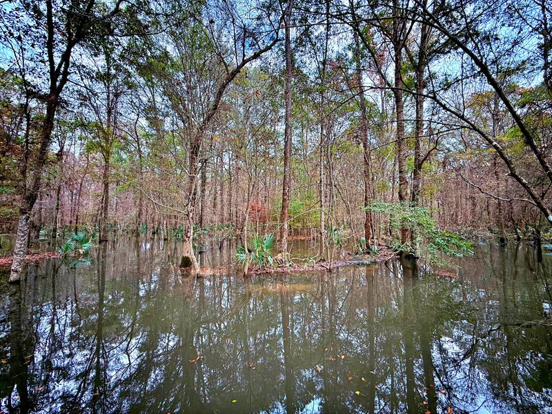 1215 Sandy Run Cir, Summerville, SC 29486