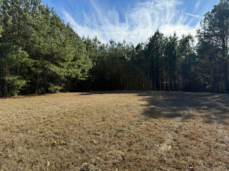 0 Cameron Dr, Ridgeville, SC 29472