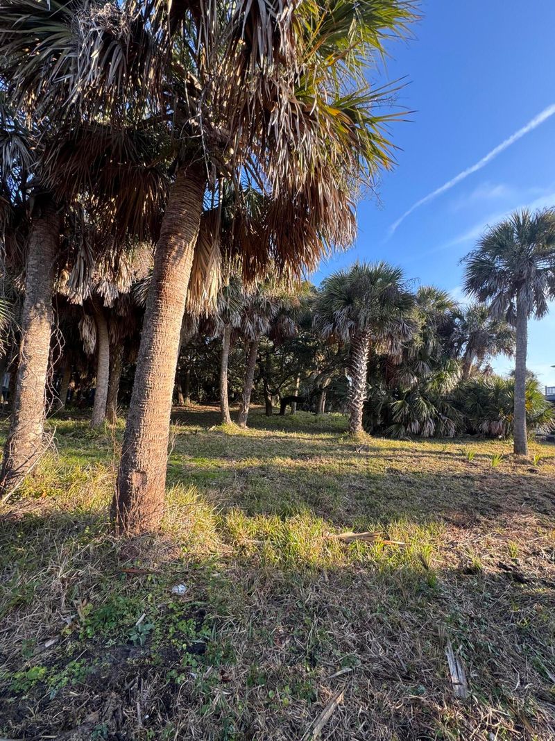 1505 Marianne St, Edisto Island, SC 29438