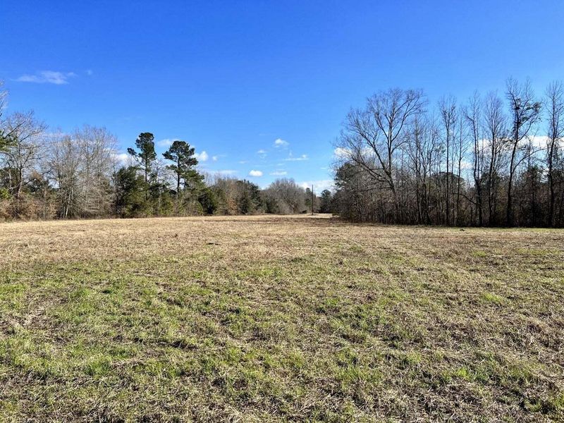 00 Dennis Ridge Rd, Bonneau, SC 29431