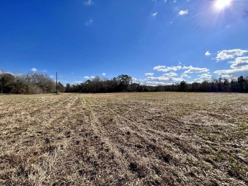 00 Dennis Ridge Rd, Bonneau, SC 29431
