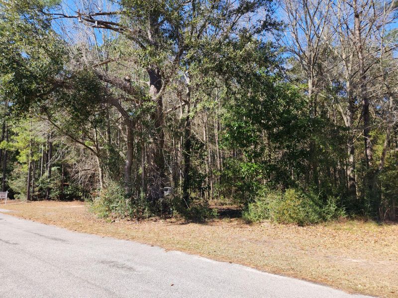 378 S Main St, Ridgeville, SC 29472