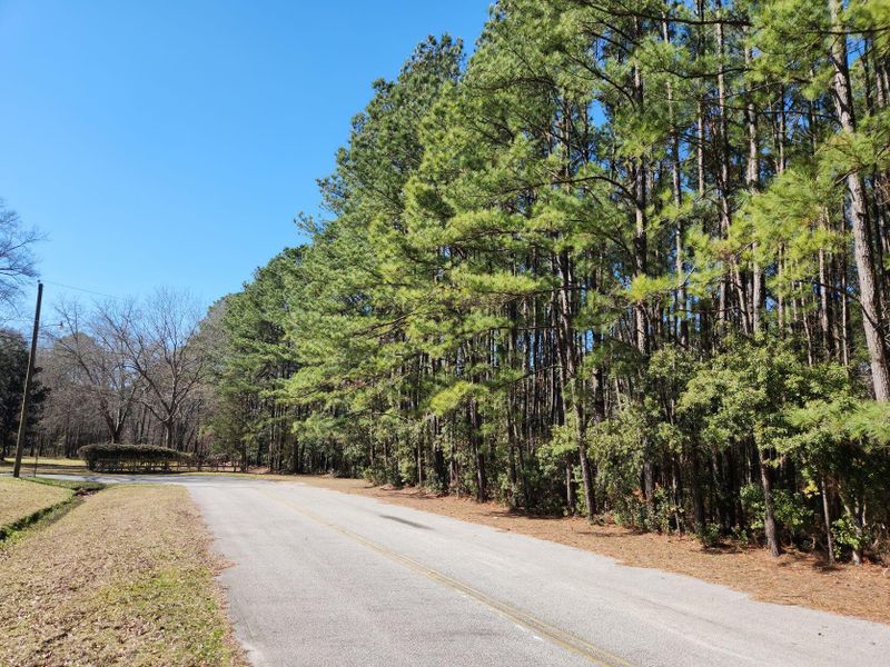 378 S Main St, Ridgeville, SC 29472