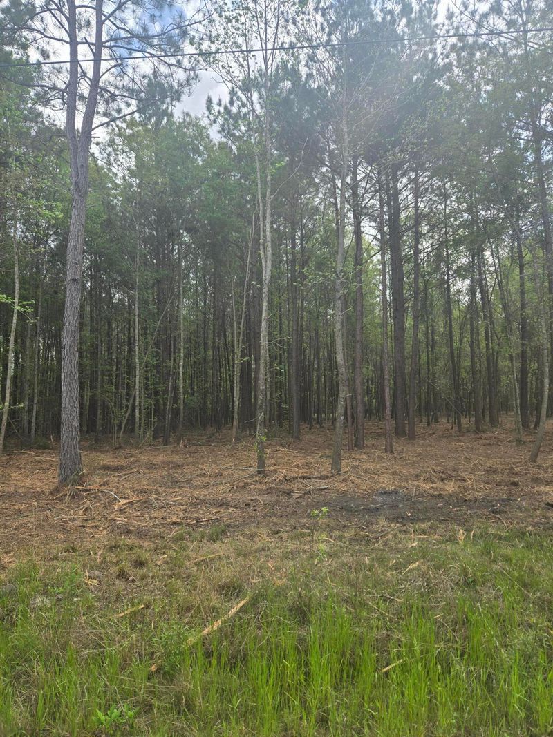 00 Whitestone Dr, Reevesville, SC 29471