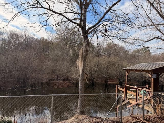 218 Cat Hole Ln, Branchville, SC 29432