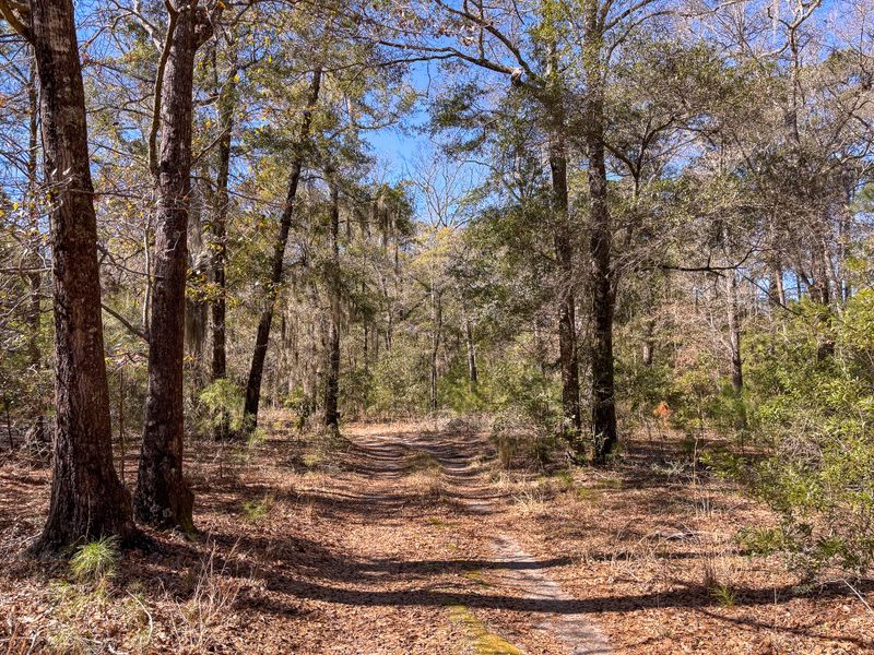 903 Harts Bluff Rd, Wadmalaw Island, SC 29487