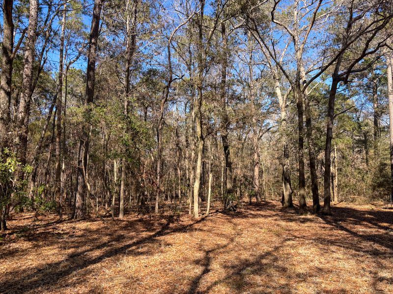 903 Harts Bluff Rd, Wadmalaw Island, SC 29487