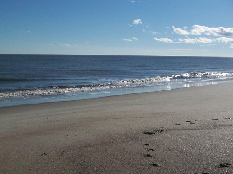 1408 Jungle Rd, Edisto Island, SC 29438