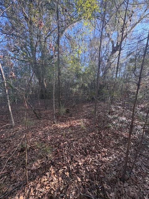 01 Broughton Rd, Moncks Corner, SC 29461