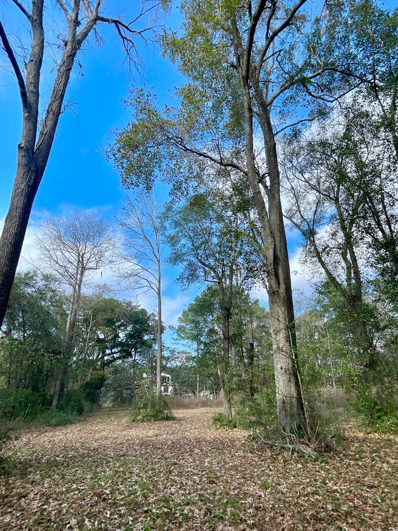 0 Bradham Rd, Charleston, SC 29412