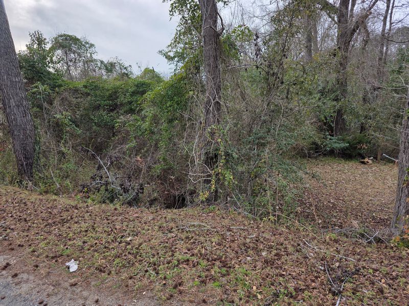 0 Mitten Rd, Moncks Corner, SC 29461