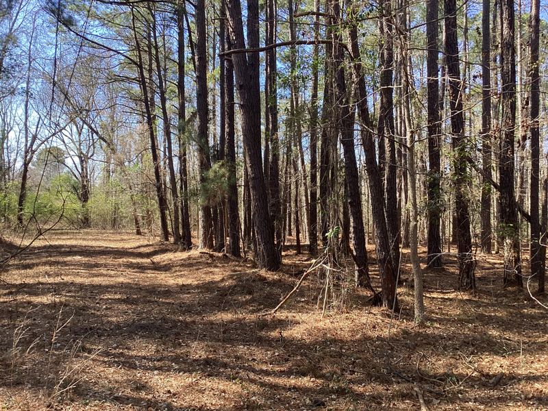 00 Legion Rd, Saint Stephen, SC 29479