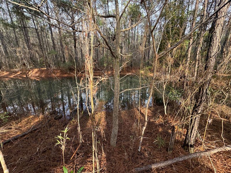 0 Deerhaven Ct, Huger, SC 29450