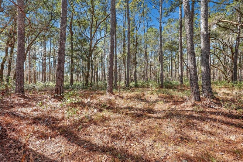 1010 Towhee Ln, Mcclellanville, SC 29458