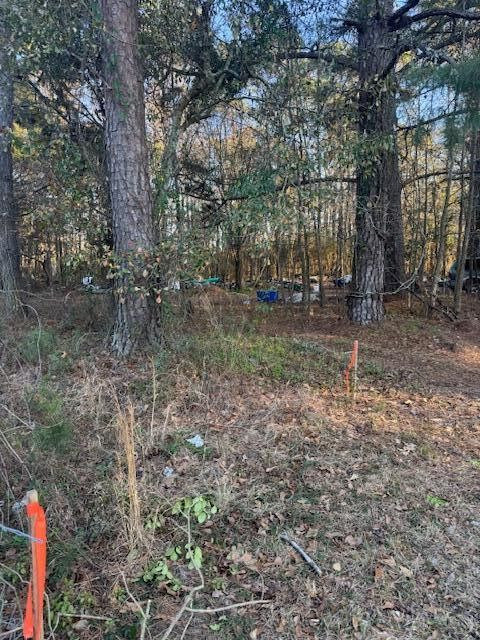 0 Central Ave, Summerville, SC 29483