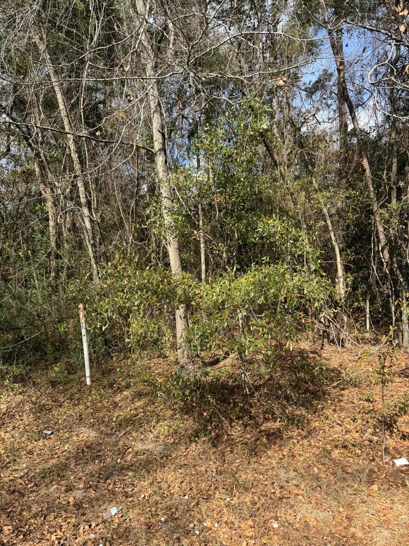 0 Robertson Blvd, Walterboro, SC 29488
