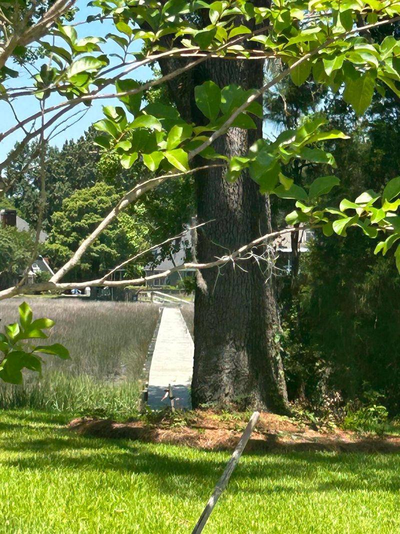 2349 Town Woods Rd, Charleston, SC 29414