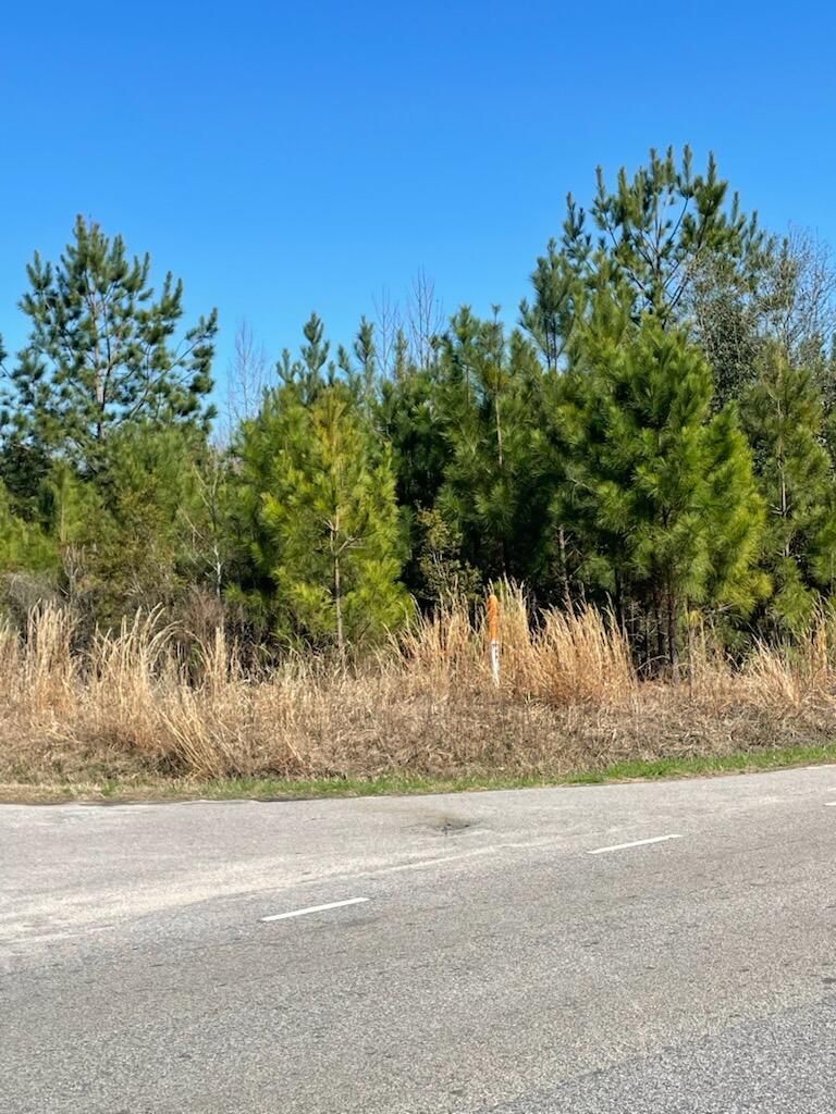 0 Herndon St, Walterboro, SC 29488