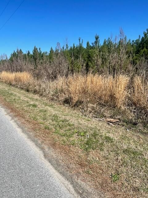 0 Herndon St, Walterboro, SC 29488