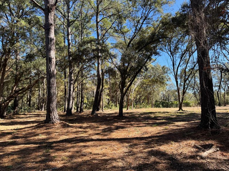 32 Marsh Aire Ln, Edisto Island, SC 29438