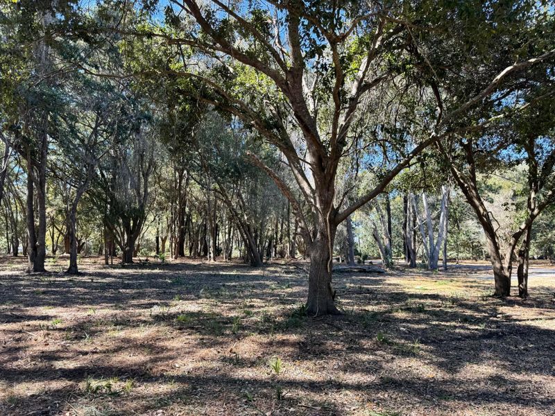 32 Marsh Aire Ln, Edisto Island, SC 29438