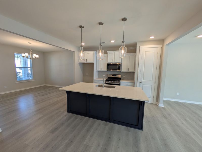 1005 Swamp Harrier Ave, Ravenel, SC 29470