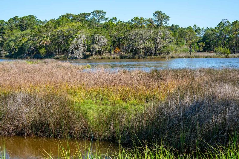 8127 Jack Island Dr, Johns Island, SC 29455
