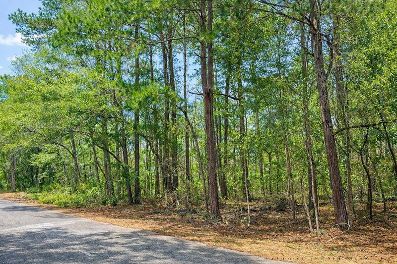 890 Flowers Ln, Edisto Island, SC 29438