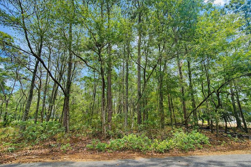 890 Flowers Ln, Edisto Island, SC 29438