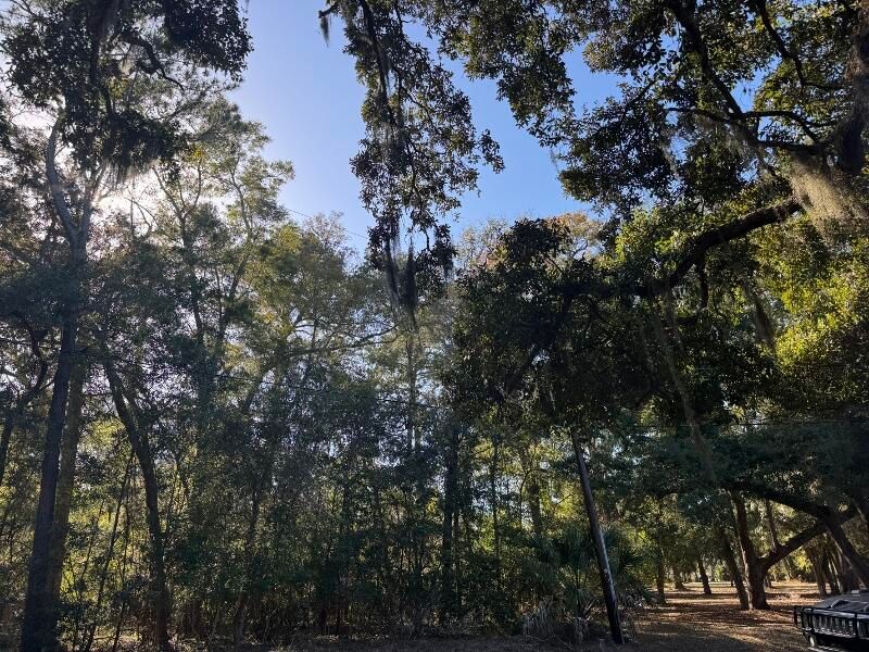 8785 Palmetto Rd, Edisto Island, SC 29438