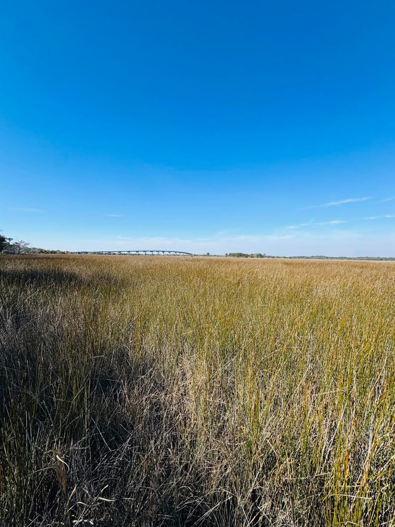 00 Rosa Scott Rd, Edisto Island, SC 29438