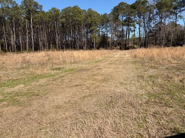 4131 Betsy Kerrison Pw, Johns Island, SC 29455