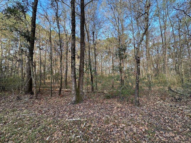 0 Cooke Rd Lot 3, Johns Island, SC 29455