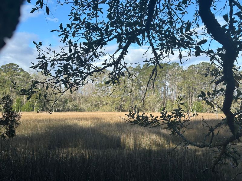 0 Cooke Rd Lot 3, Johns Island, SC 29455