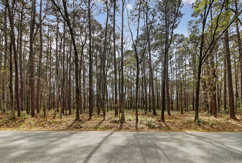 103 Caveson Dr, Summerville, SC 29483