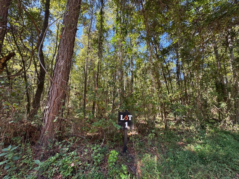 0 Clarks Hill Dr #1, Saint George, SC 29477