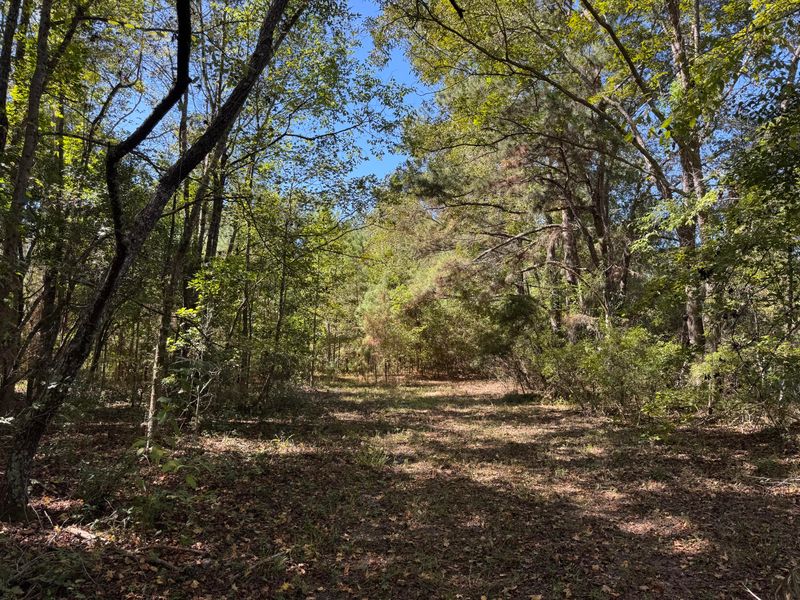 0 Clarks Hill Dr #1, Saint George, SC 29477