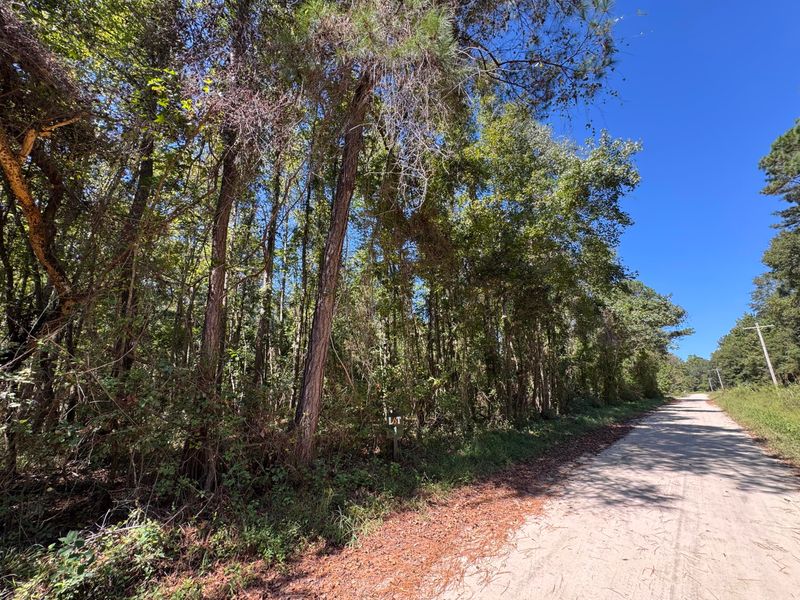 0 Clarks Hill Dr #1, Saint George, SC 29477