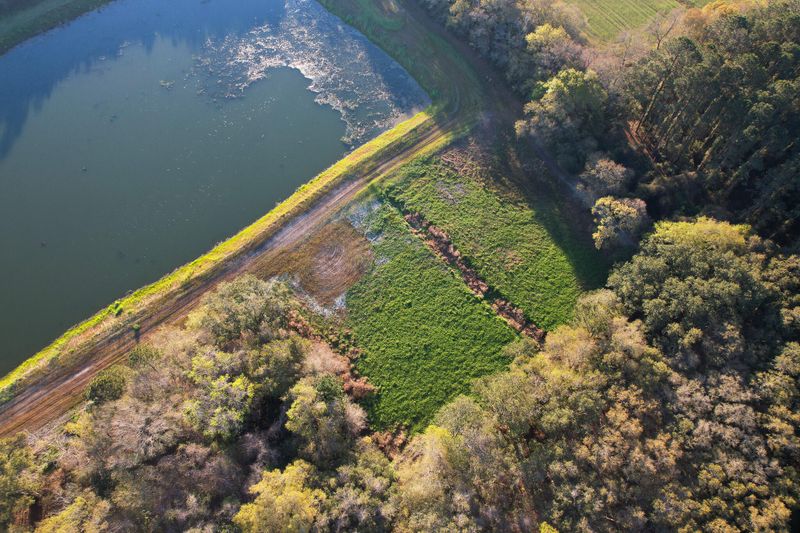 3170 Contentment Hall Rd, Johns Island, SC 29455