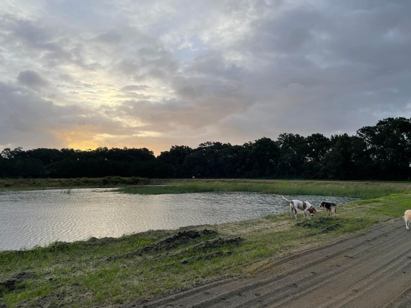 3170 Contentment Hall Rd, Johns Island, SC 29455