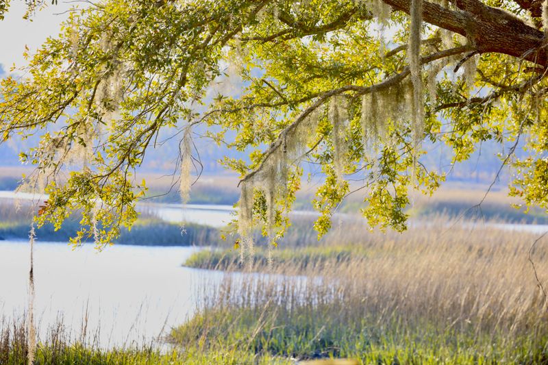 4559 Smoak Rd, Meggett, SC 29449
