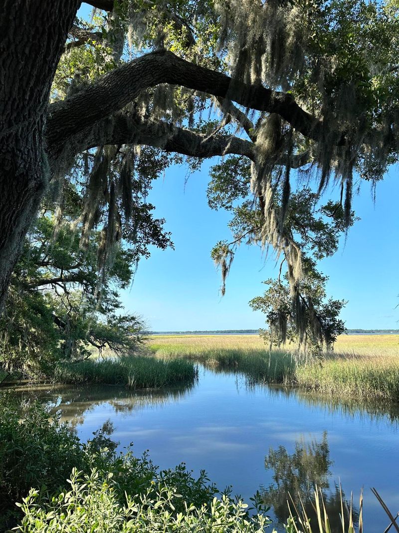 7950 Hopkins Pl Dr Lot 15, Edisto Island, SC 29438